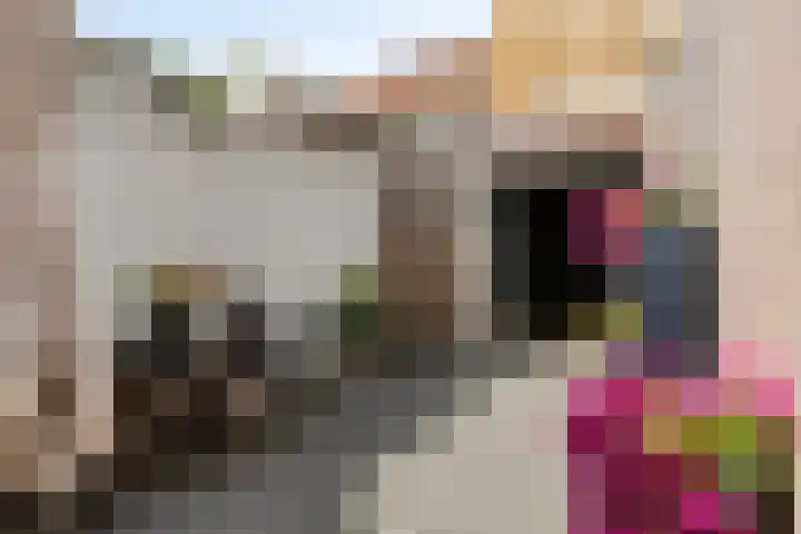 Hastelweg 73 Eindhoven thumbnail 31