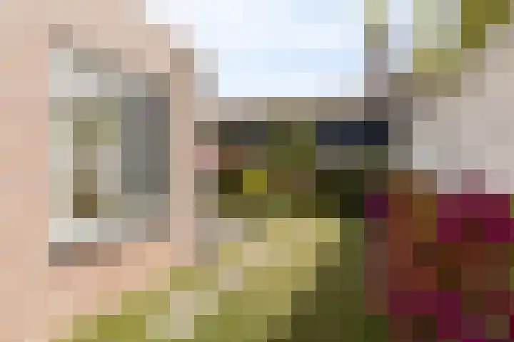 Hastelweg 73 Eindhoven thumbnail 32