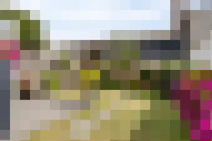Hastelweg 73 Eindhoven thumbnail 33
