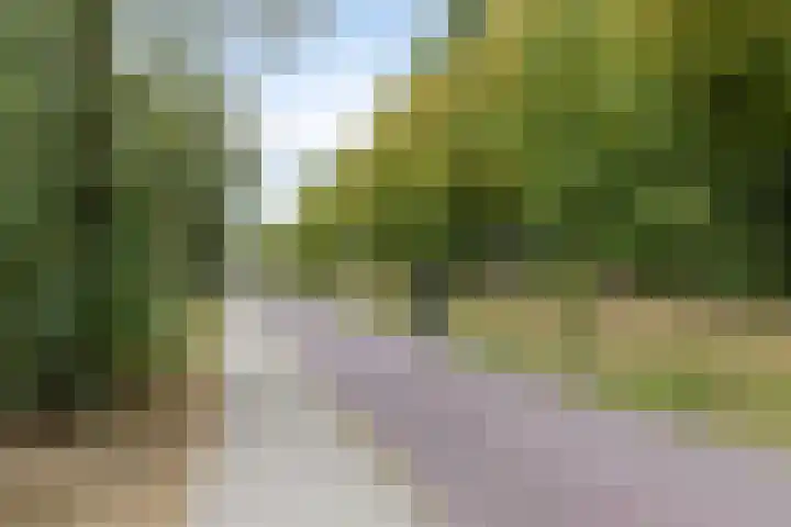 Hastelweg 73 Eindhoven thumbnail 35