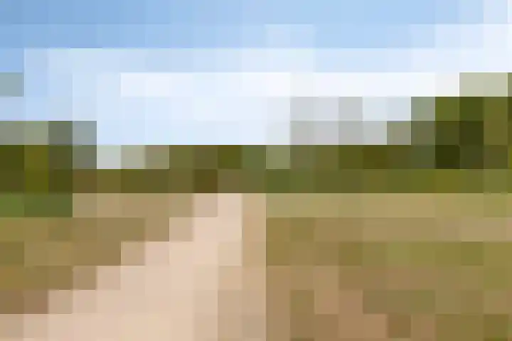 Hastelweg 73 Eindhoven thumbnail 36