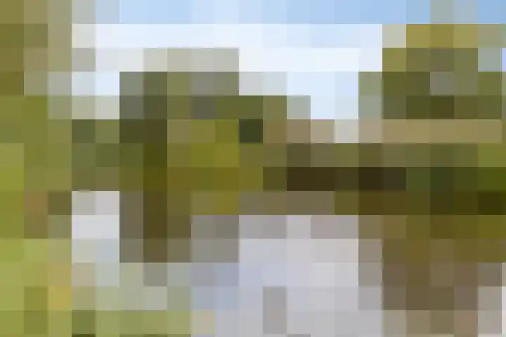 Hastelweg 73 Eindhoven thumbnail 38