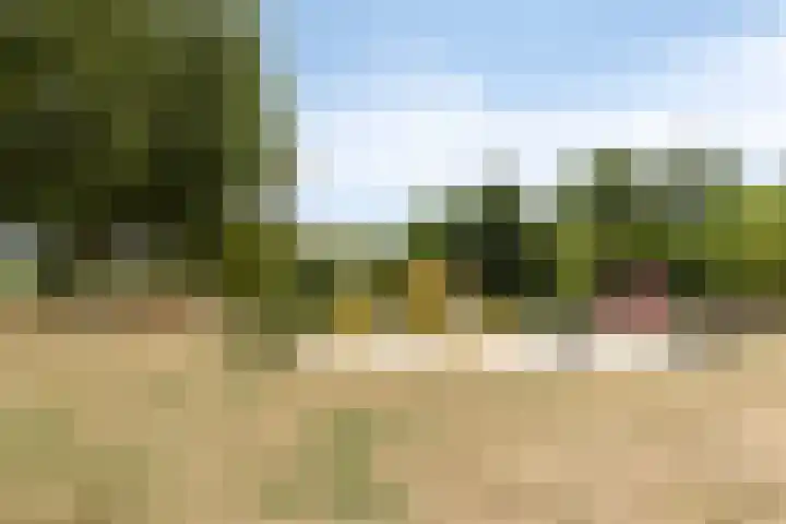 Hastelweg 73 Eindhoven thumbnail 39