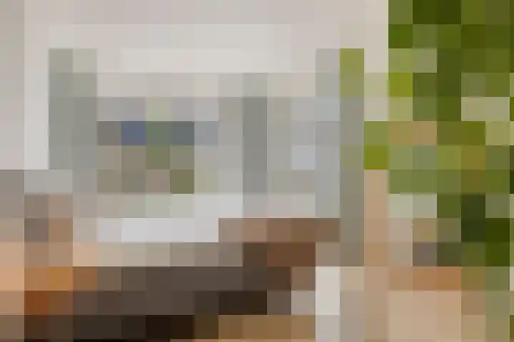 Hastelweg 73 Eindhoven thumbnail 4