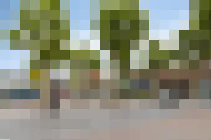 Hastelweg 73 Eindhoven thumbnail 41