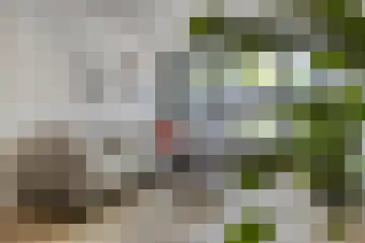 Hastelweg 73 Eindhoven thumbnail 9