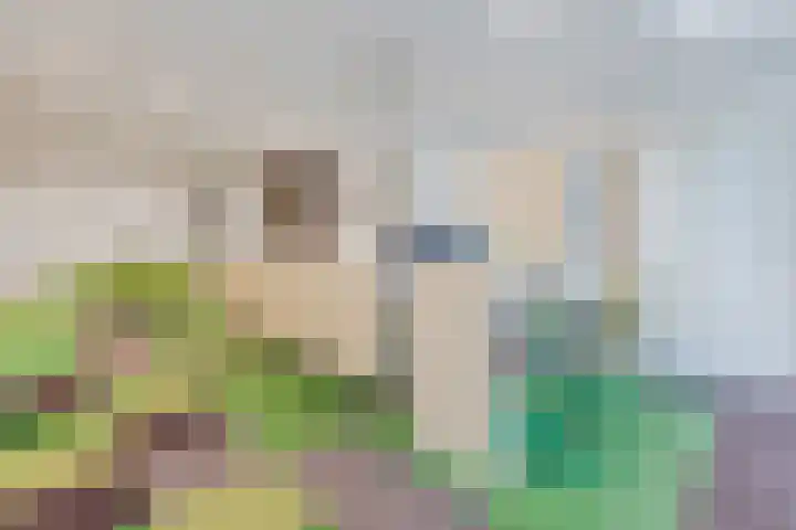 Hatertseweg 120 Nijmegen thumbnail 4