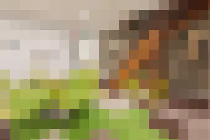 Hatertseweg 120 Nijmegen thumbnail 5