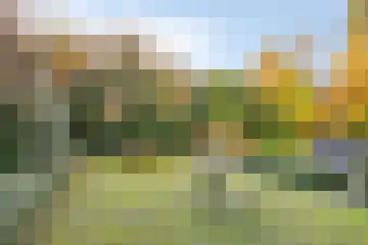 Hatertseweg 151 Nijmegen thumbnail 34