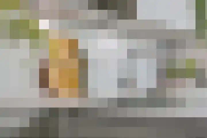 Hatertseweg 155 Nijmegen thumbnail 14
