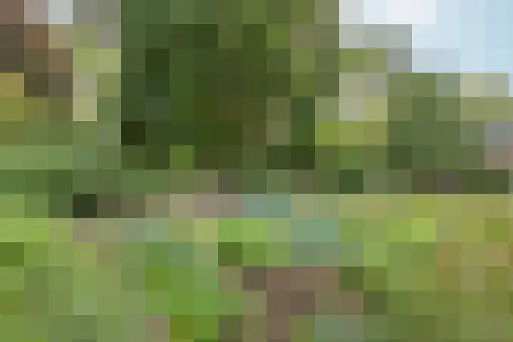 Hatertseweg 155 Nijmegen thumbnail 37