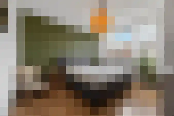 Hatertseweg 173 Nijmegen thumbnail 38