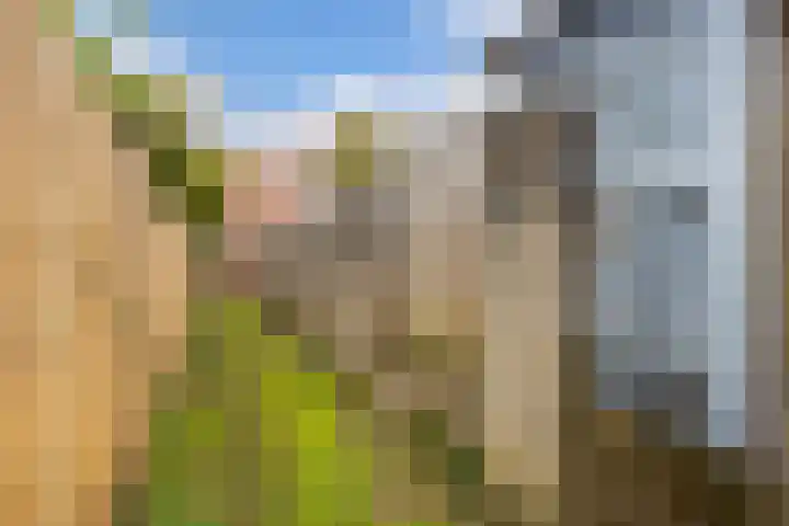 Hatertseweg 207 Nijmegen thumbnail 28