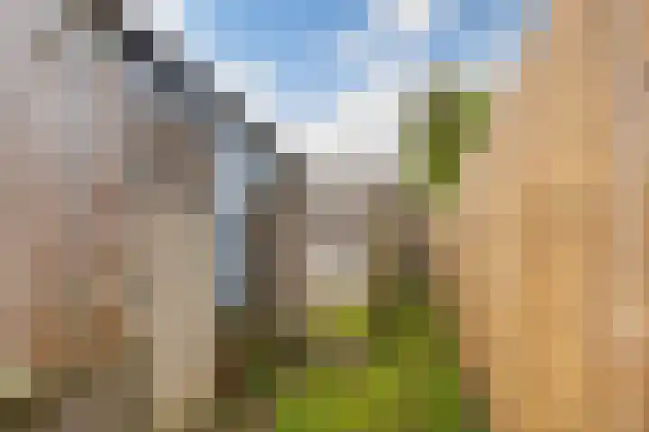 Hatertseweg 207 Nijmegen thumbnail 29