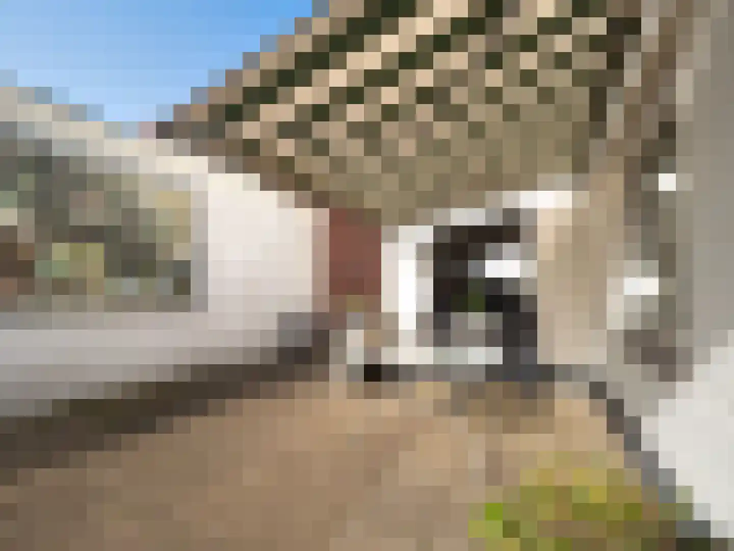 Hatertseweg 235 Nijmegen thumbnail 23