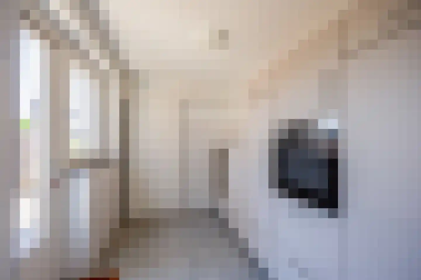 Hatertseweg 247 Nijmegen thumbnail 7