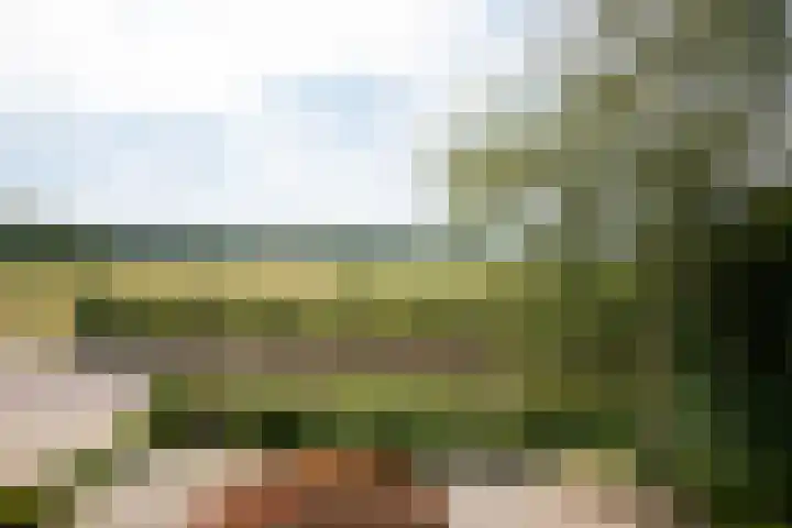 Hatertseweg 26 A Malden thumbnail 32