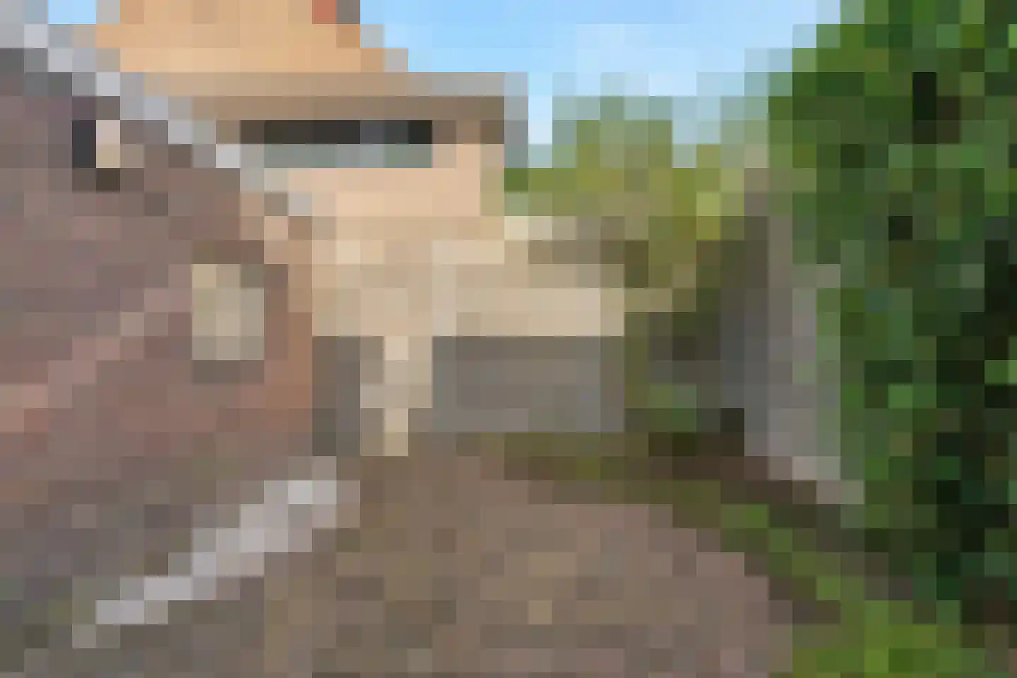 Hatertseweg 264 Nijmegen thumbnail 40