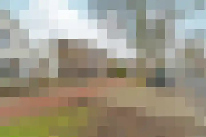 Hatertseweg 279 Nijmegen thumbnail 49