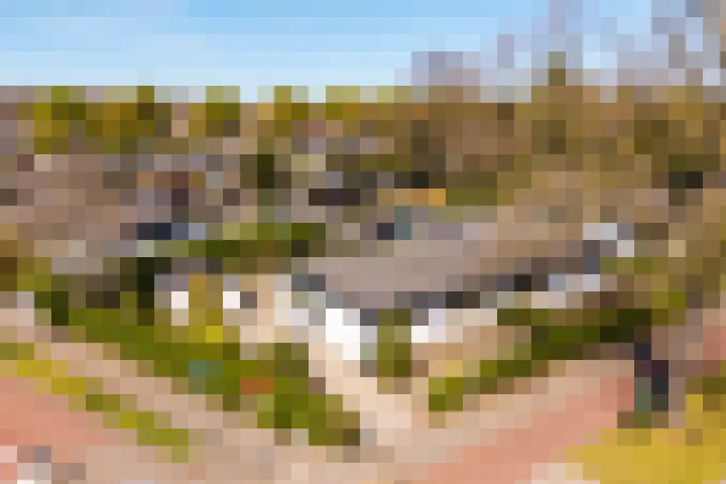 Hatertseweg 292 Nijmegen thumbnail 7