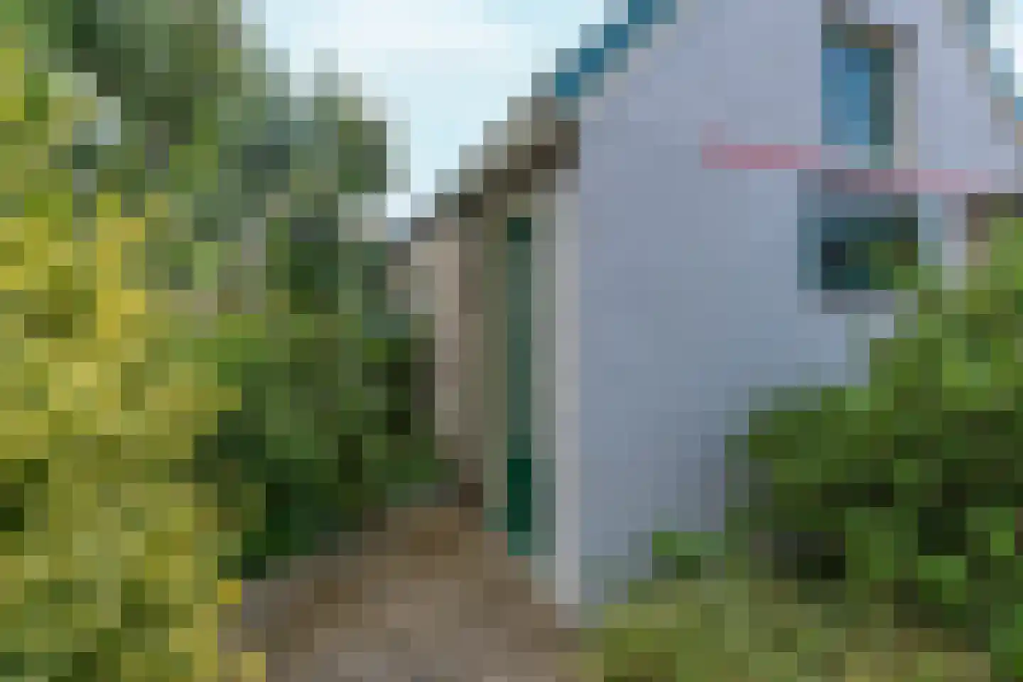 Hatertseweg 297 Nijmegen thumbnail 36