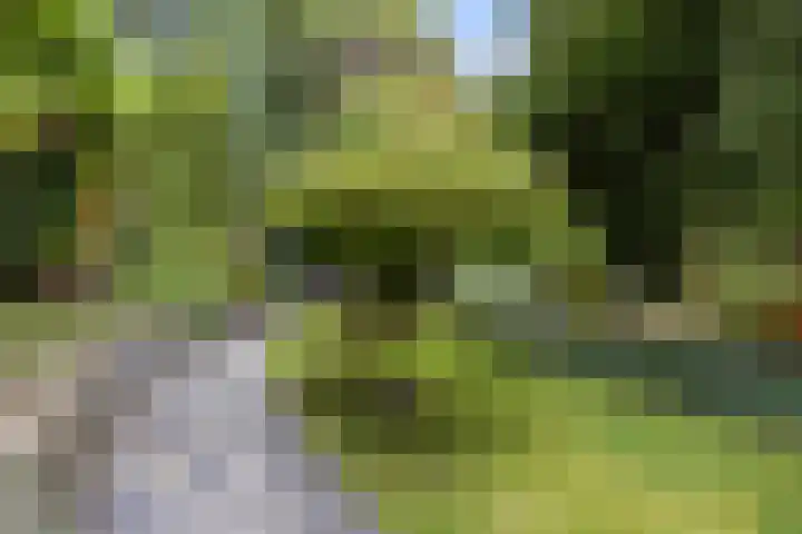 Hatertseweg 490 Nijmegen thumbnail 45