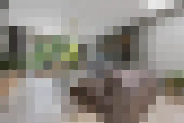 Hatertseweg 490 Nijmegen thumbnail 7