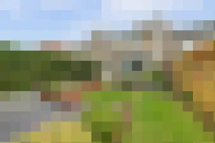 Hatertseweg 526 Nijmegen thumbnail 30