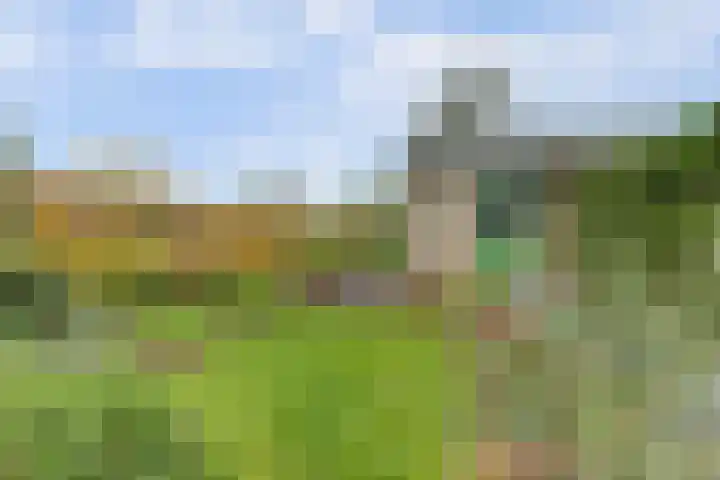Hatertseweg 526 Nijmegen thumbnail 32