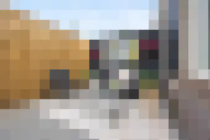 Hatertseweg 556 A 2 Nijmegen thumbnail 18