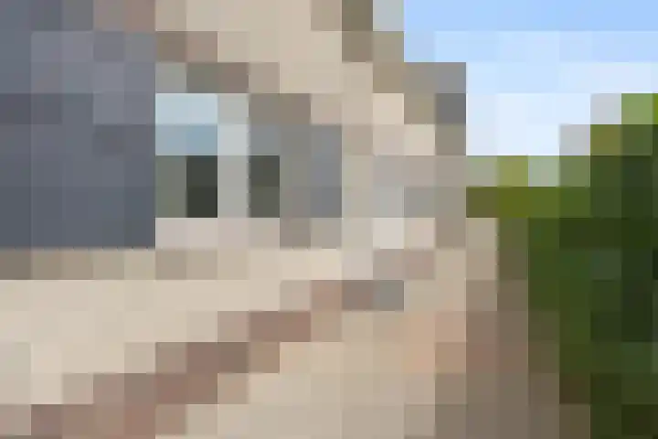 Hatertseweg 556 A 2 Nijmegen thumbnail 4