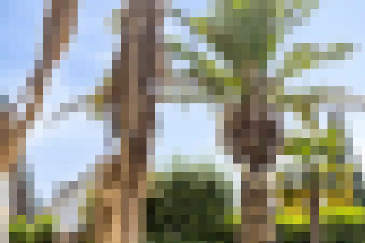 Hatertseweg 600 Nijmegen thumbnail 119