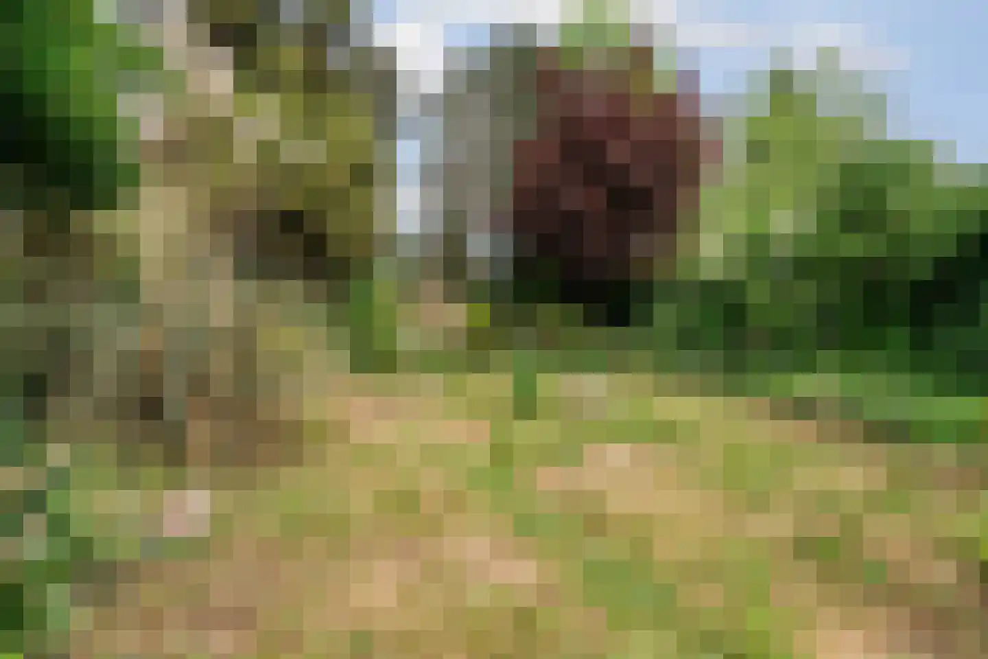 Hatertseweg 608 Nijmegen thumbnail 39