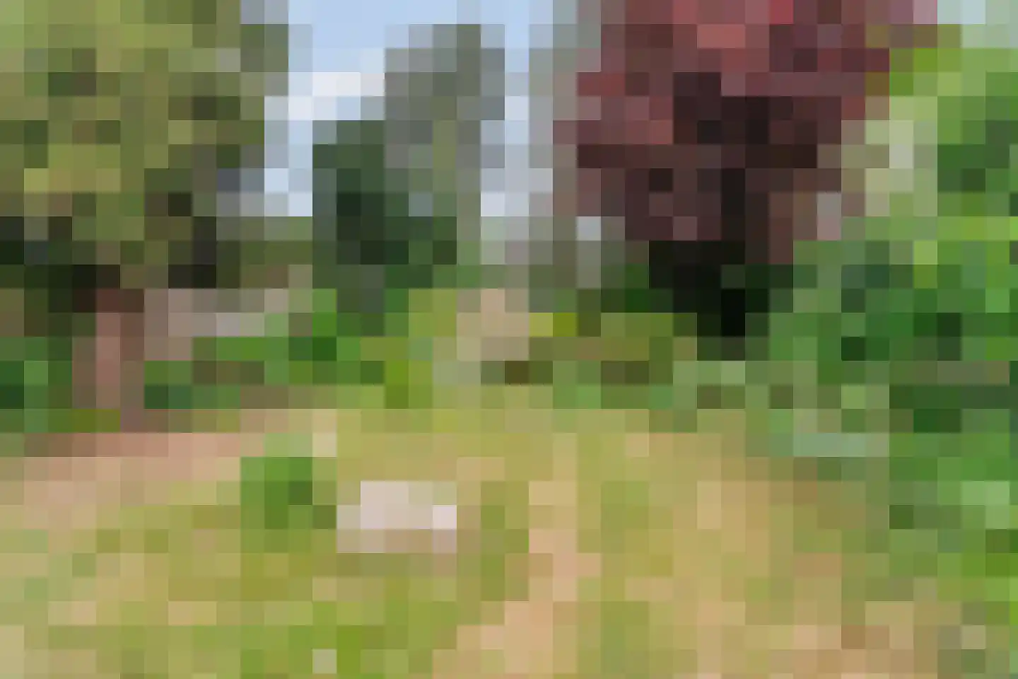 Hatertseweg 608 Nijmegen thumbnail 40