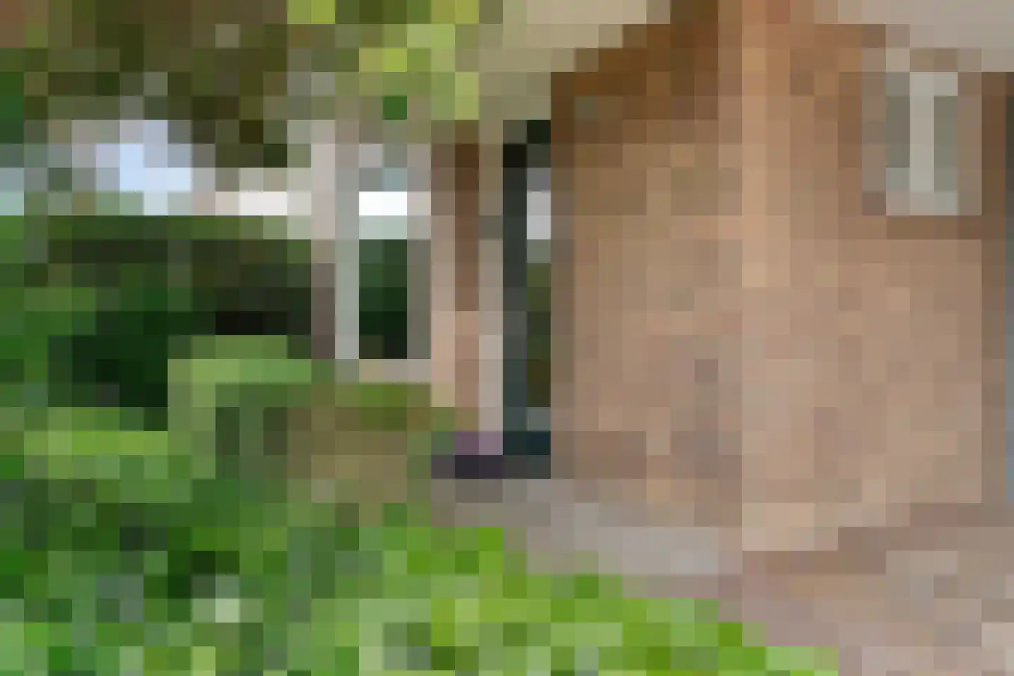 Hatertseweg 608 Nijmegen thumbnail 44