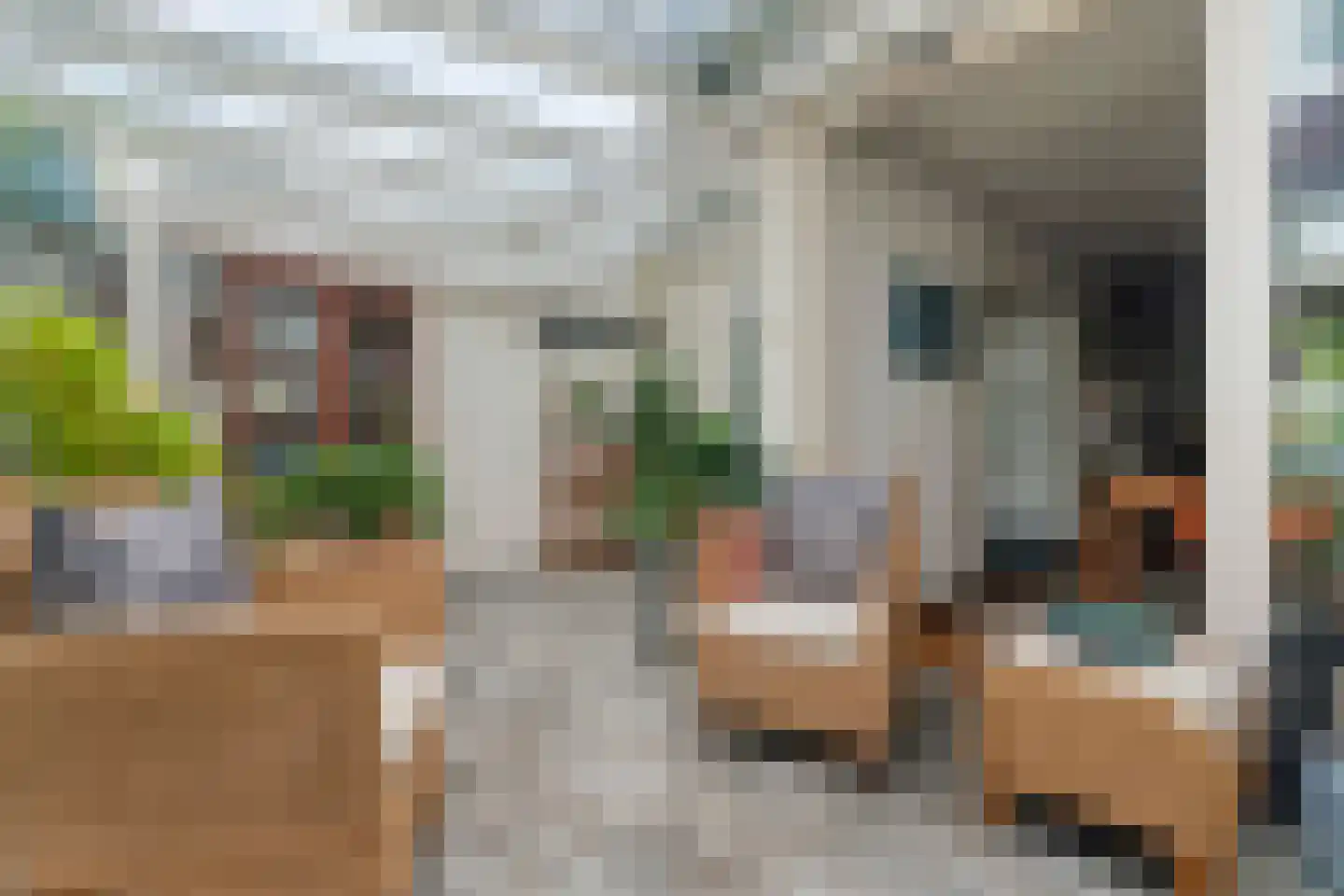 Hatertseweg 608 Nijmegen thumbnail 5
