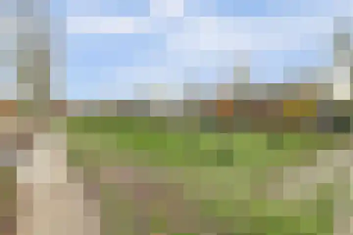 Hatertseweg 645 Nijmegen thumbnail 52