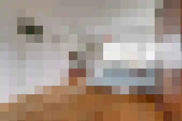 Hatertseweg 645 Nijmegen thumbnail 8