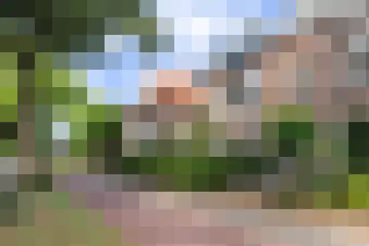 Hatertseweg 67 Nijmegen thumbnail 25