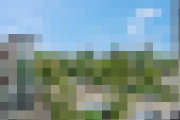 Hatertseweg 685 Nijmegen thumbnail 31