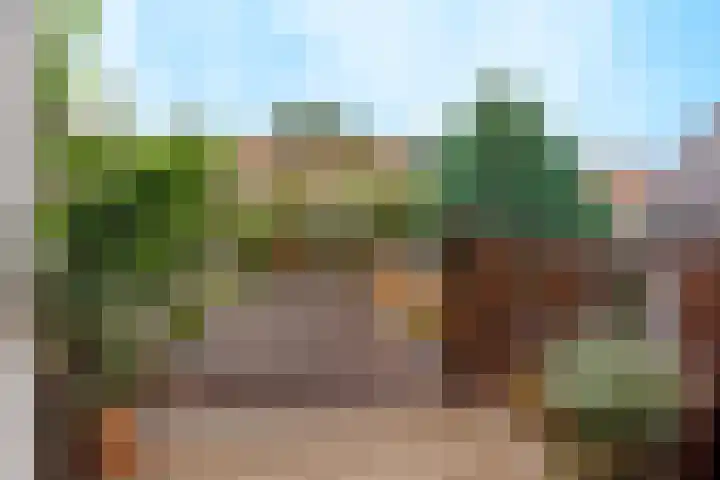 Hatertseweg 799 Nijmegen thumbnail 34