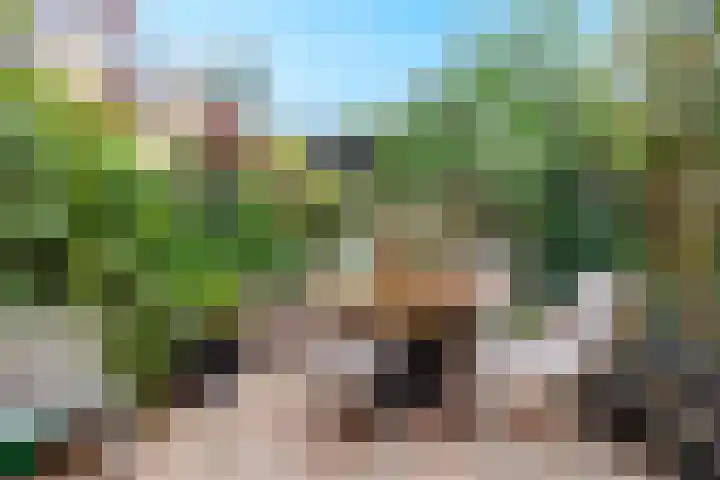 Hatertseweg 799 Nijmegen thumbnail 42