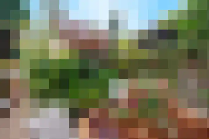 Hatertseweg 799 Nijmegen thumbnail 43