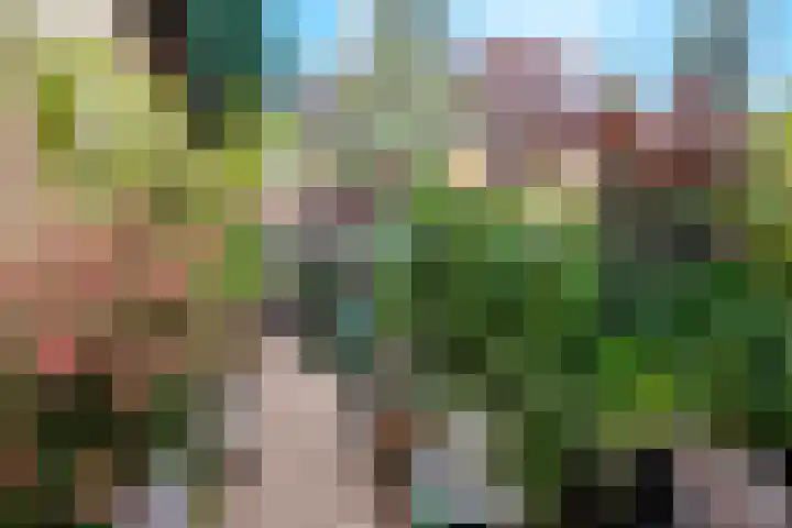 Hatertseweg 799 Nijmegen thumbnail 44