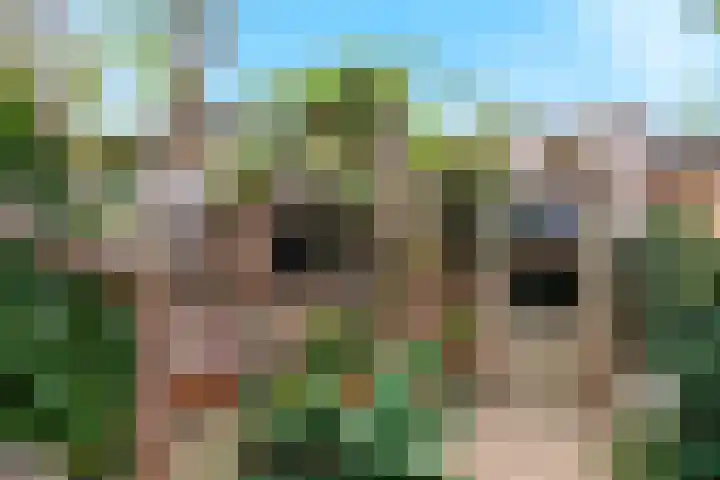 Hatertseweg 799 Nijmegen thumbnail 50