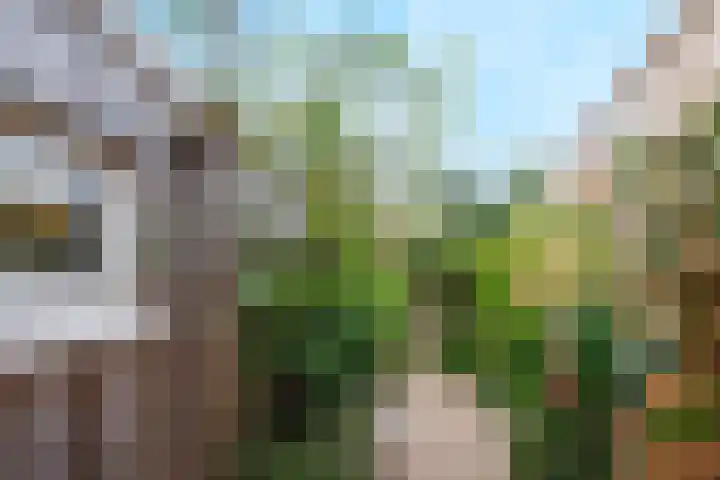 Hatertseweg 799 Nijmegen thumbnail 53
