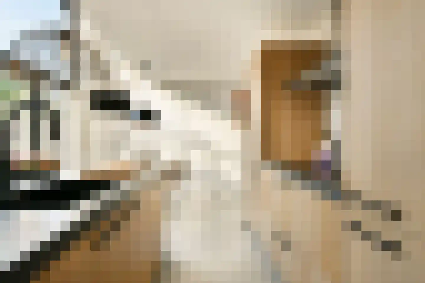 Hattasingel 156 Rotterdam thumbnail 16