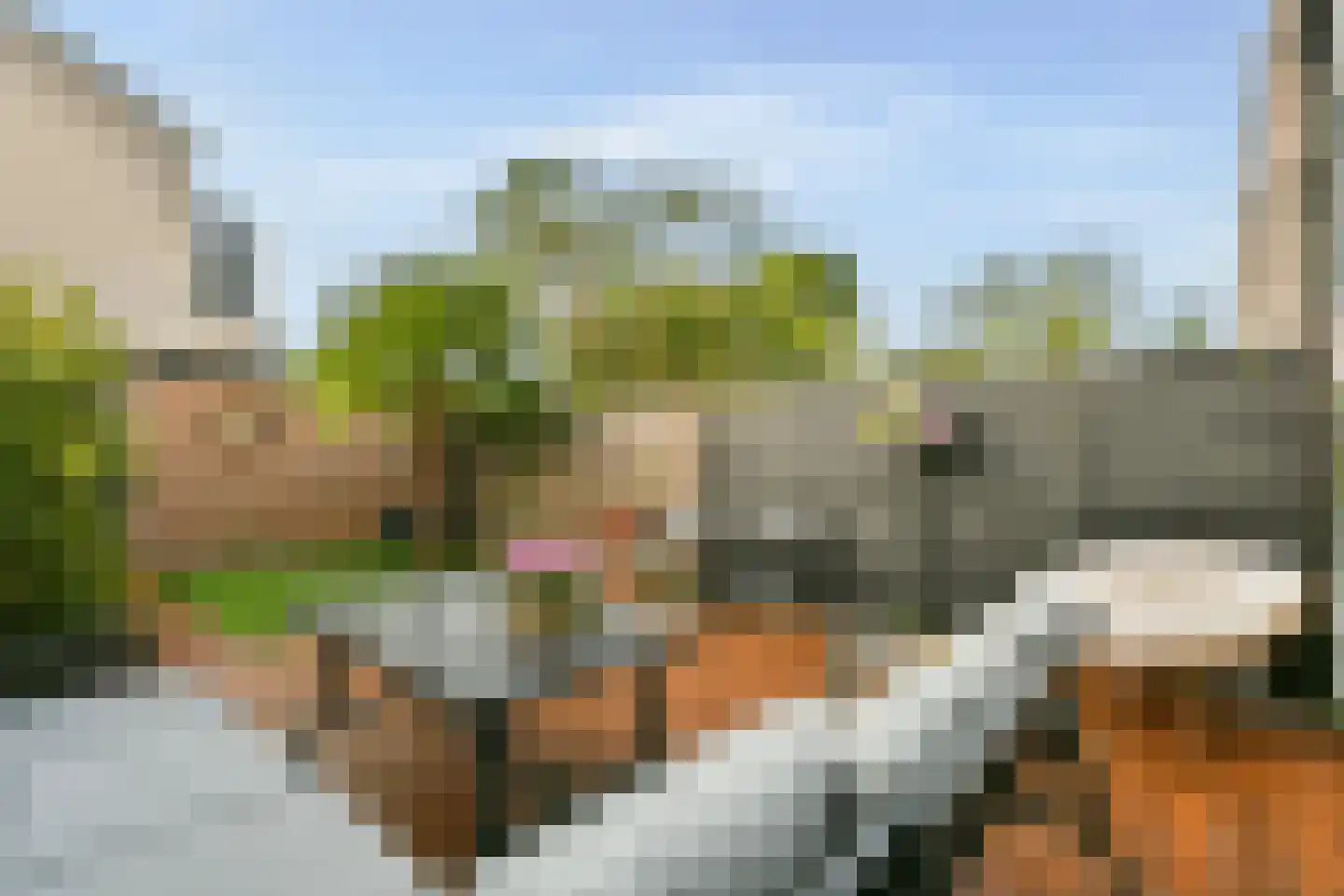 Hattasingel 156 Rotterdam thumbnail 17