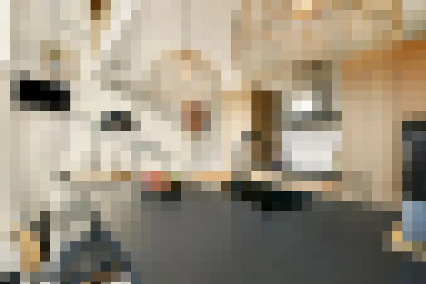 Hattasingel 156 Rotterdam thumbnail 5