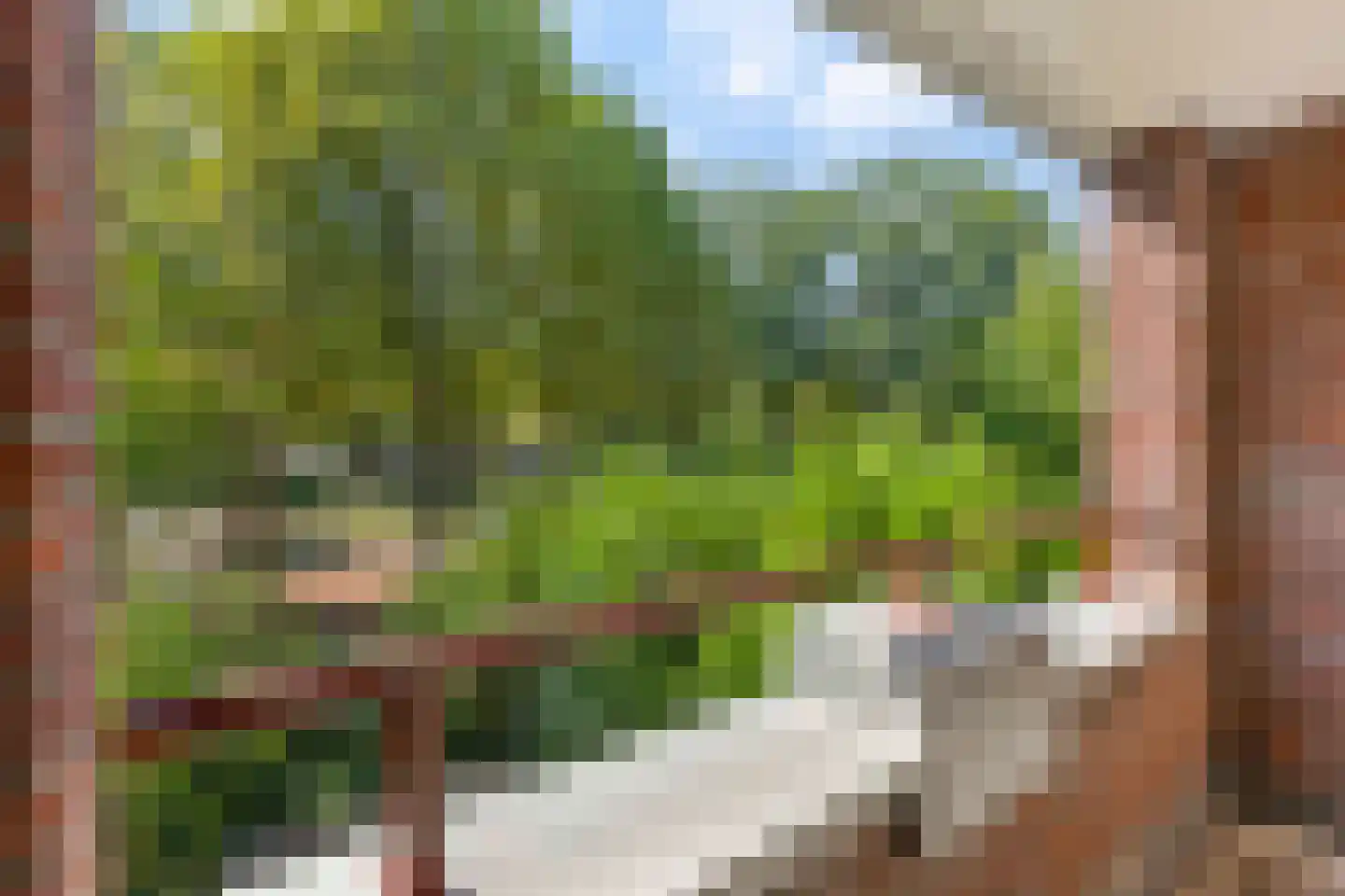 Hattem 106 Roermond thumbnail 18